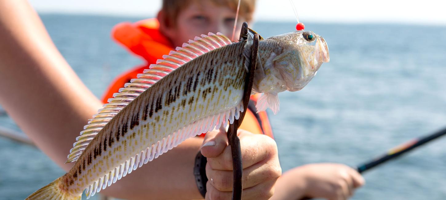 Fisketur på Isefjorden | Kuttertur | Fisketur på fjorden | Fladfisketur | Rørvig Havn | Odsherred | Marianne-F | Marianne F