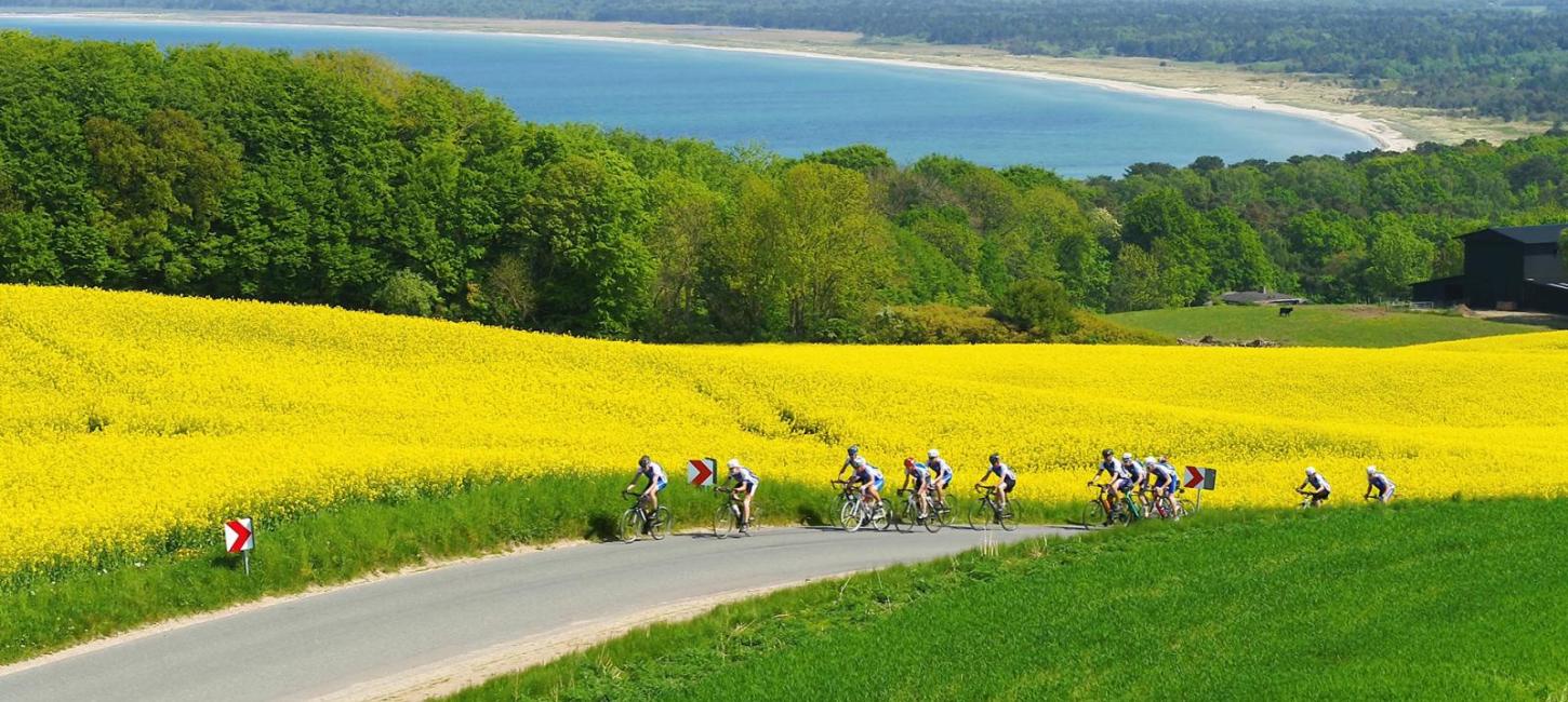 Cykelruter | Cykeludlejning | Cykelkort | Odsherred | Sjælland | Danmark