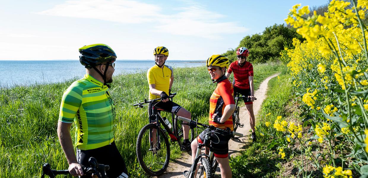 Cykelruter | Cykelkort | Cykeludlejning | Kort over cykelruter | Afmærkede cykelruter | Cykelferie | Odsherred | Sjælland | Vestsjælland | Danmark